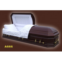Гроб A666